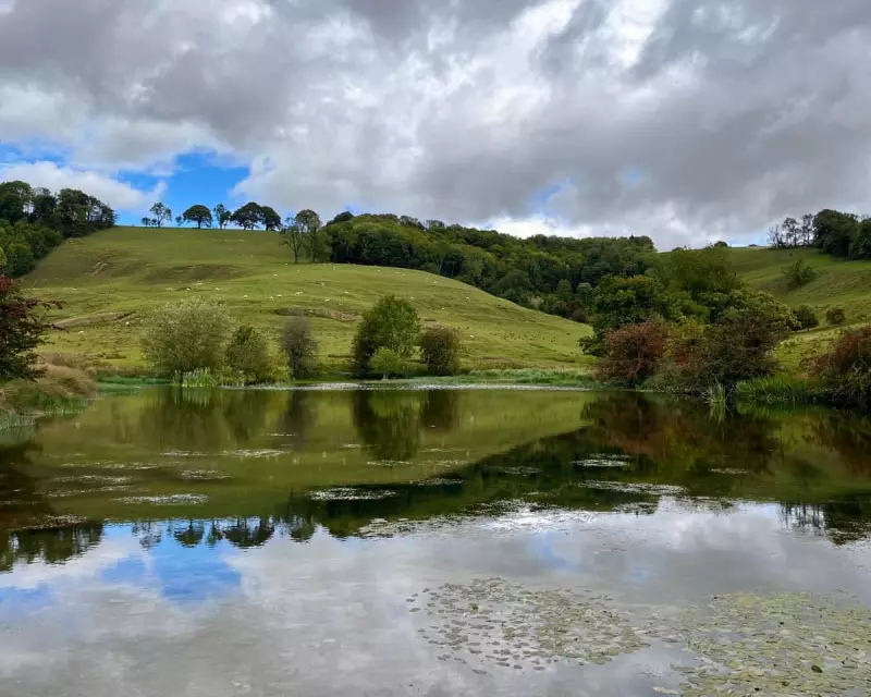 Skyward Surprise: How a Derbyshire Quarry Transformed into a Stunning Wildlife Sanctuary