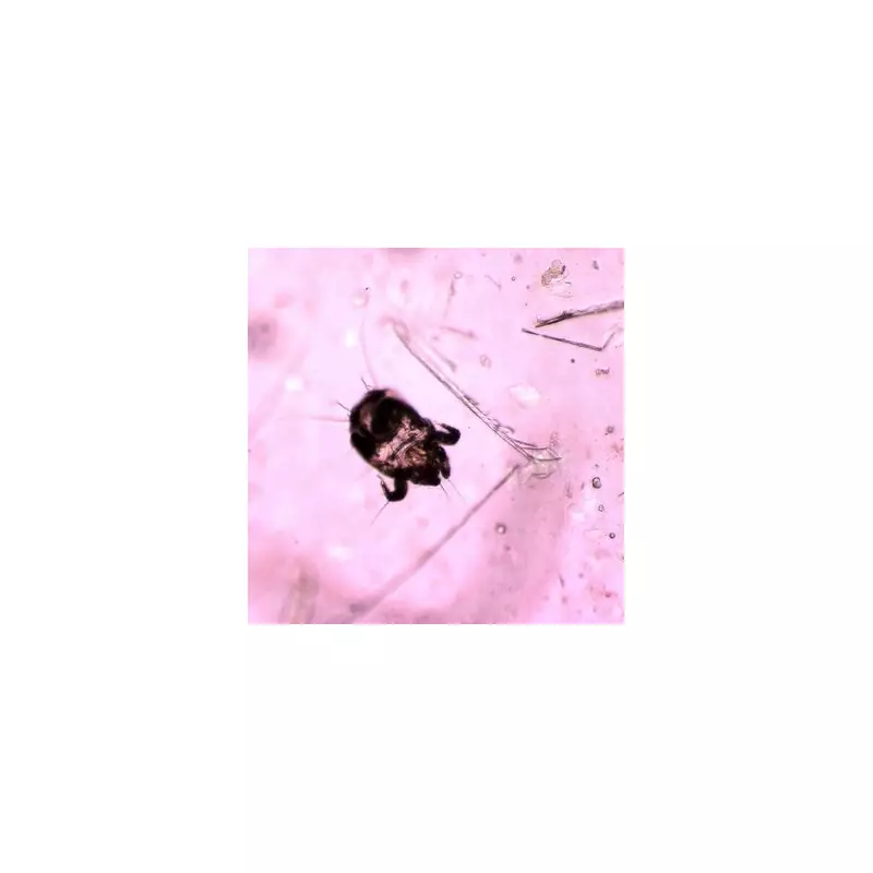 Sleep Expert Reveals The Dirtiest Place In Your Hotel Room Isn't The Loo | Shocking Hygiene Alert