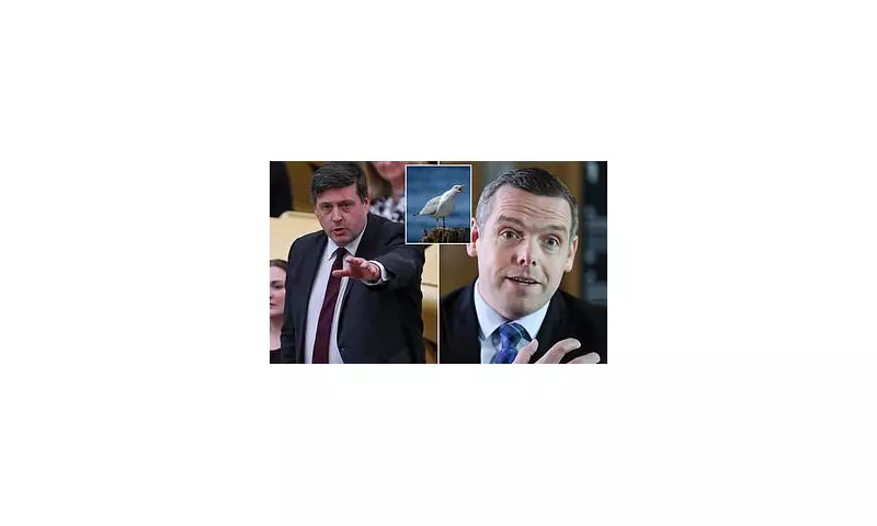 SNP Minister Jamie Hepburn Accused of Physical Assault on Ex-Tory Leader in Seagull Summit Row