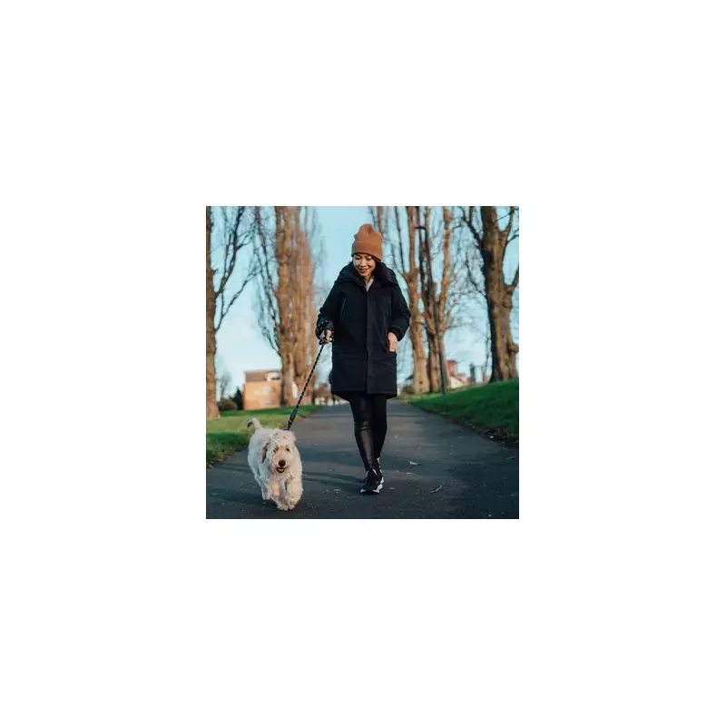 Stray Cat Adopts Woman: Heartwarming Tale of Feline Devotion in UK Home