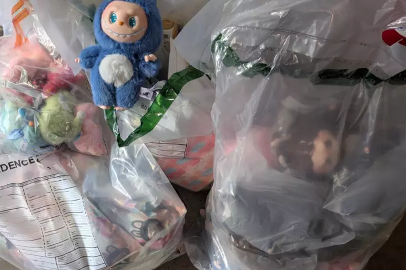 Sutton Council Issues Urgent Warning Over Counterfeit 'Labubu' Dolls After Choking Hazard Scare