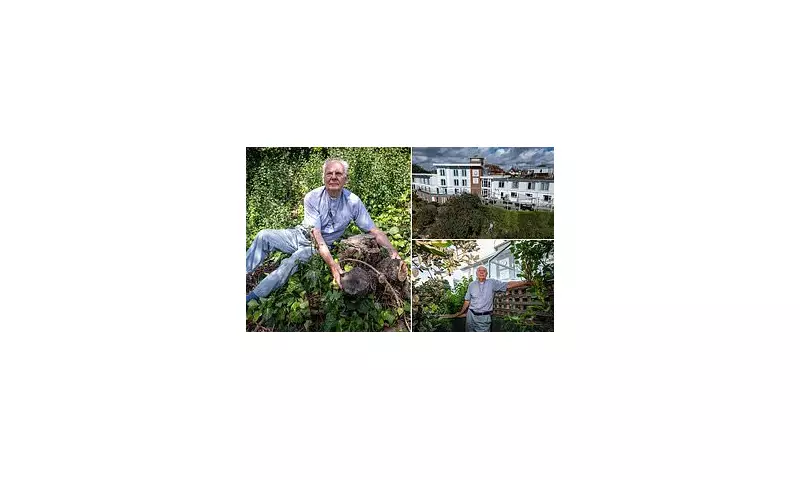 Sycamore Gap Tree Felling: Care Home Workers and Vicar in Court Over Felled Icon