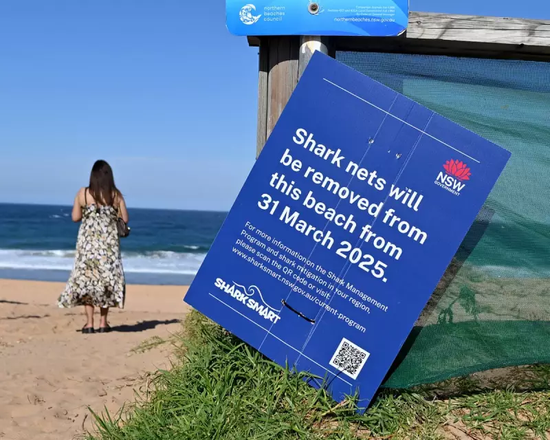 Sydney Shark Attack Tragedy: Are Outdated Nets Giving Swimmers a False Sense of Security?