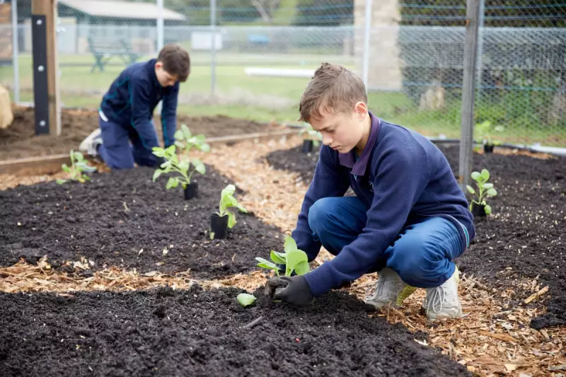 Tasmanian School Gardens Cultivate Brighter Futures: How Green-Thumb Learning is Boosting Pupil Wellbeing and Academic Results