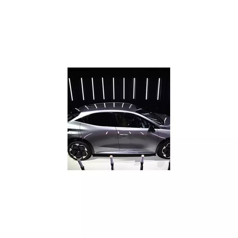 Tesla Model Y on Track to Become Europe's Best-Selling Car in 2024 | Mirror Analysis