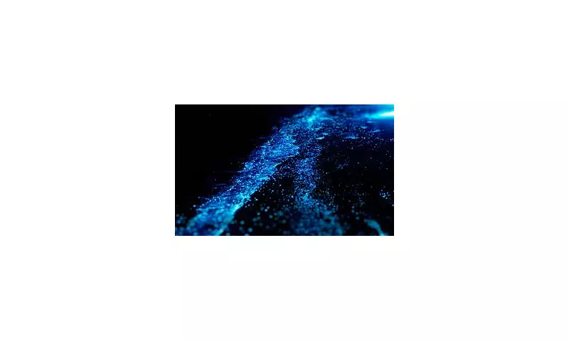 The Maldives' Magical Sea of Stars: A Travel Illusion Exposed | Daily Mail Travel