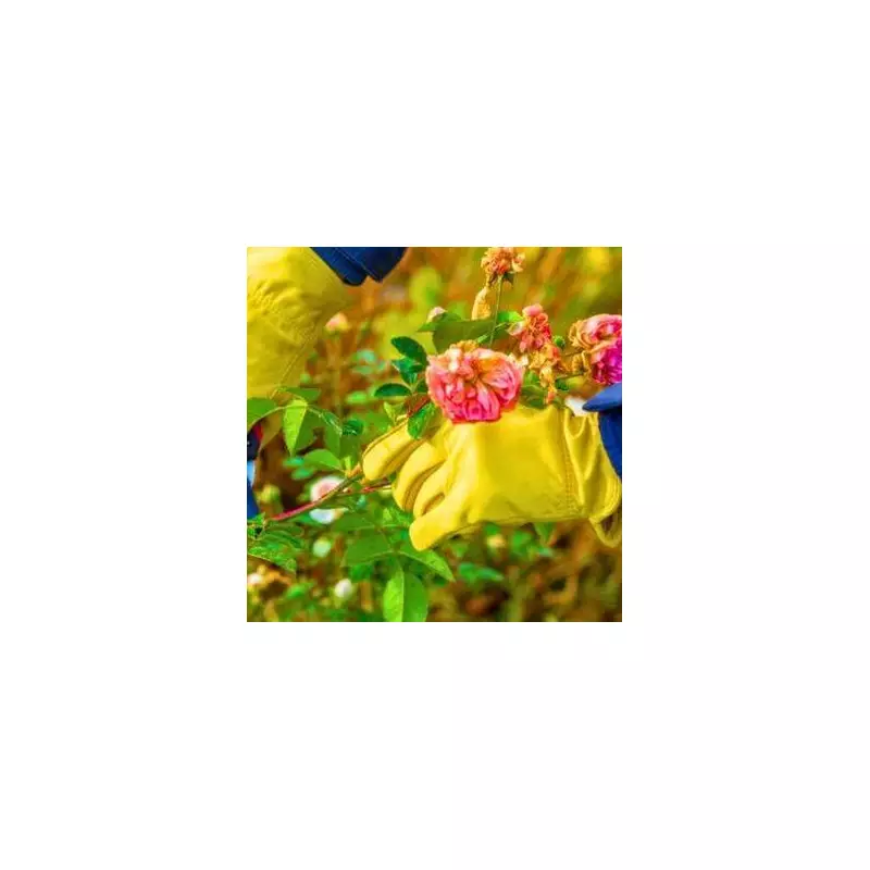 The One Simple Trick for Roses Overflowing With Blooms This Summer