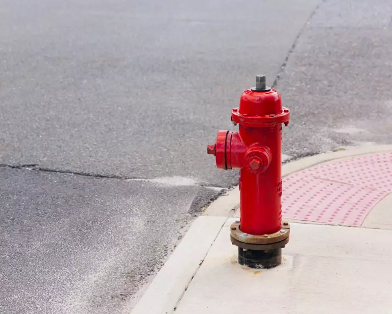 The Tiger Woods Scandal Quiz: Test Your Memory of the 2009 Cadillac Crash That Rocked Golf