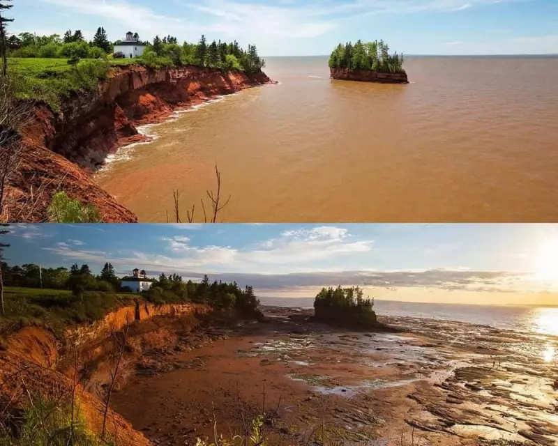 Tidal Titans Clash: Canada's Bay of Fundy and Ungava Bay Battle for World's Highest Tide Crown
