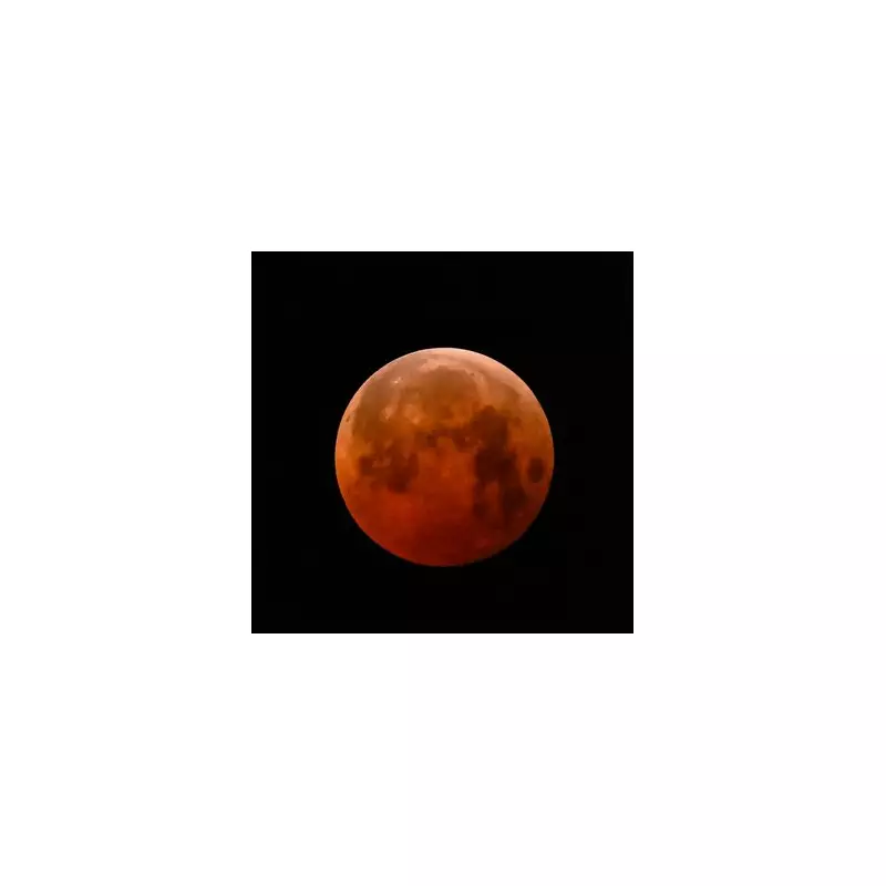 Total Solar Eclipse 2024: Your Complete UK Guide to Times, Viewing Spots, and Safety