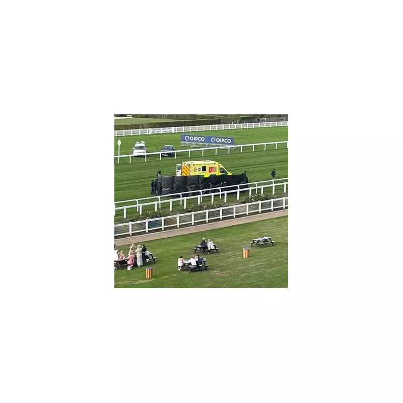 Tragedy at Ascot: Horse Dies After Fall in Queen Elizabeth II Jubilee Stakes