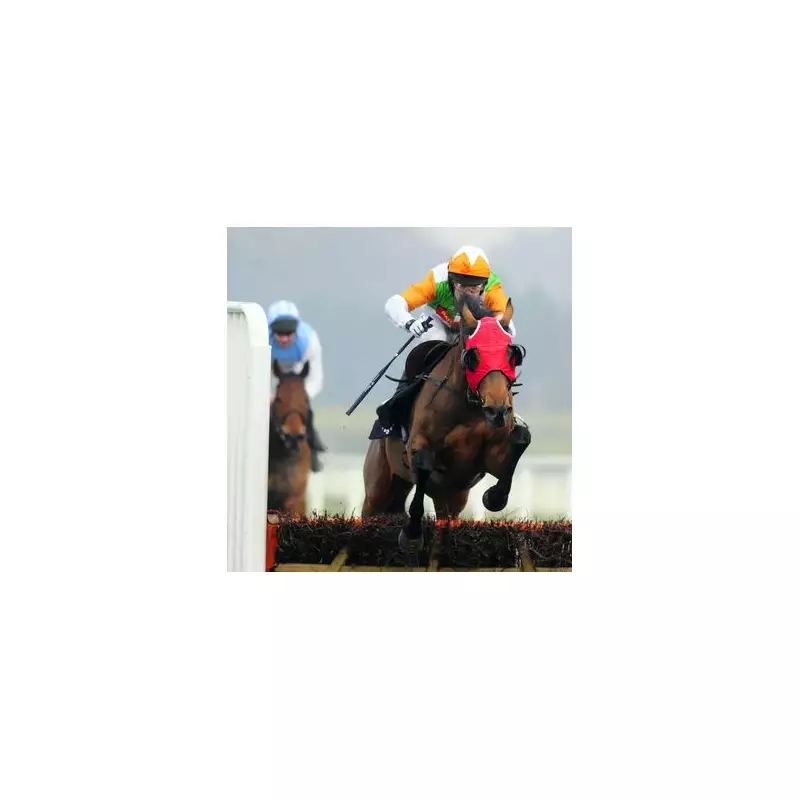 Tragedy at Cheltenham as Lough Derg Collapses and Dies After Race