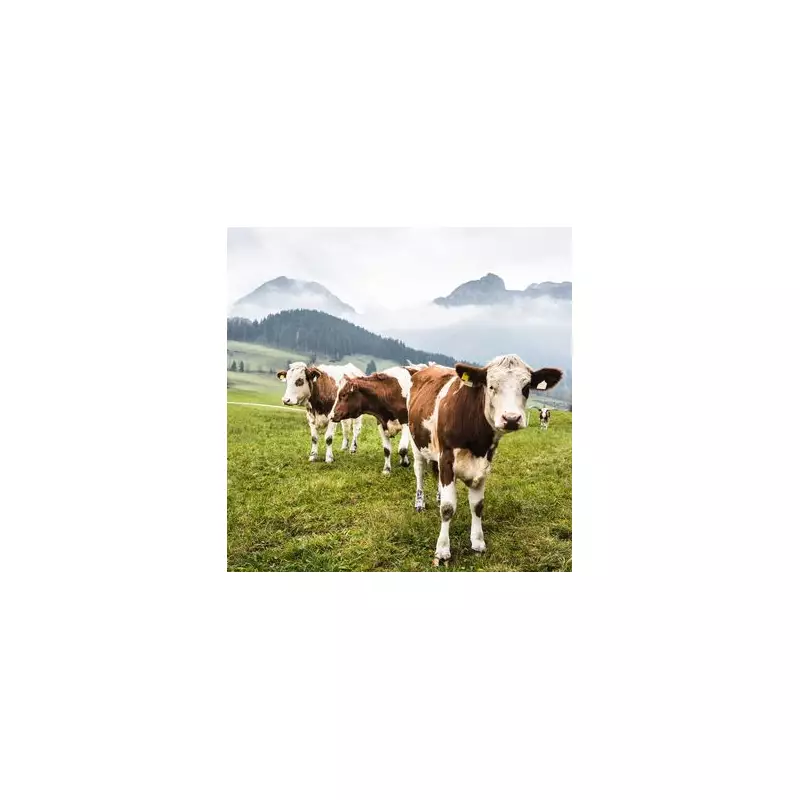 Tragic End for Hiker, 85: Trampled by Rampaging Bison in US National Park