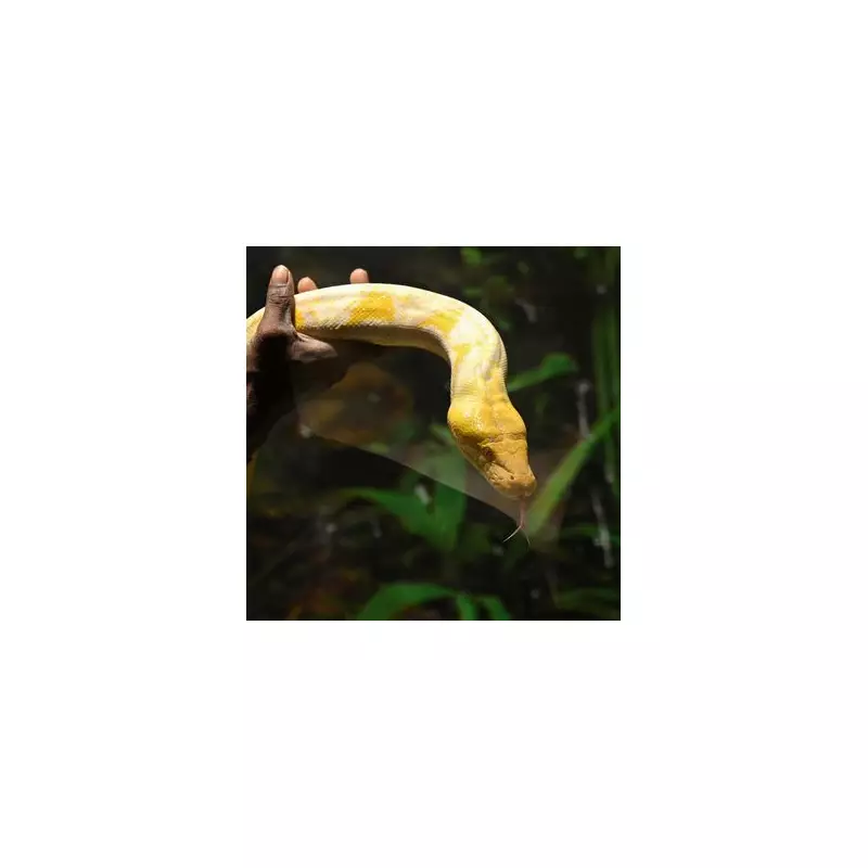 Tragic Final Moments: Man's Agonising Suicide Bid from Westminster Bridge Captured on Camera