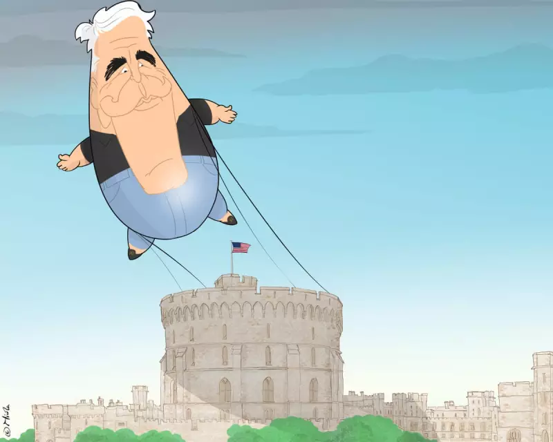 Trump's Epstein Defence Backfires Spectacularly in Damning Cartoon