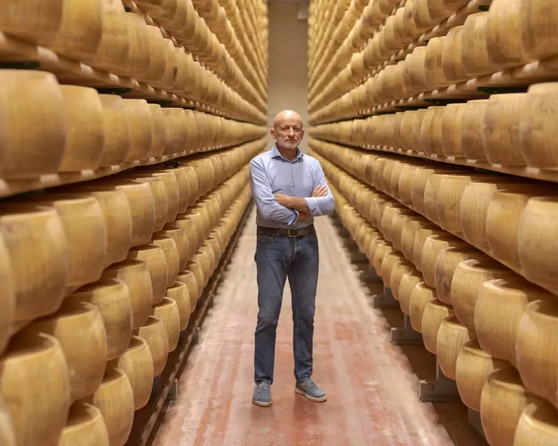 Trump's Tariffs Sour British Cheese Trade: Producers Face Bitter Aftertaste