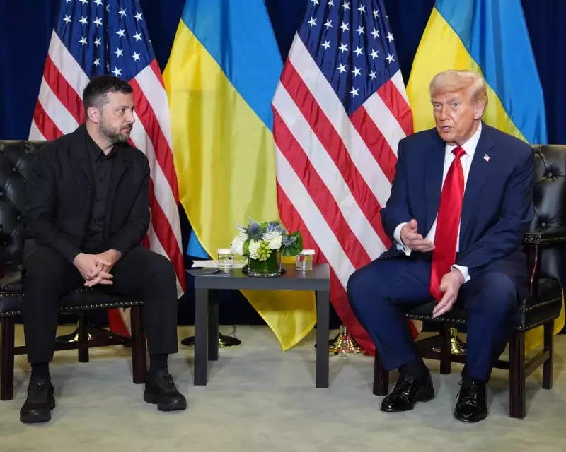 Trump's UN Speech Stuns Diplomats: Suggests Ukraine Cede Land to Russia and End NATO Ambitions