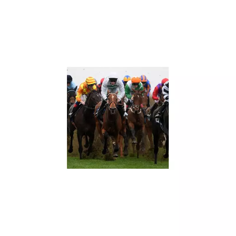 Tuesday's Racing Gold: Your Ultimate Guide to Four Unmissable UK Meetings