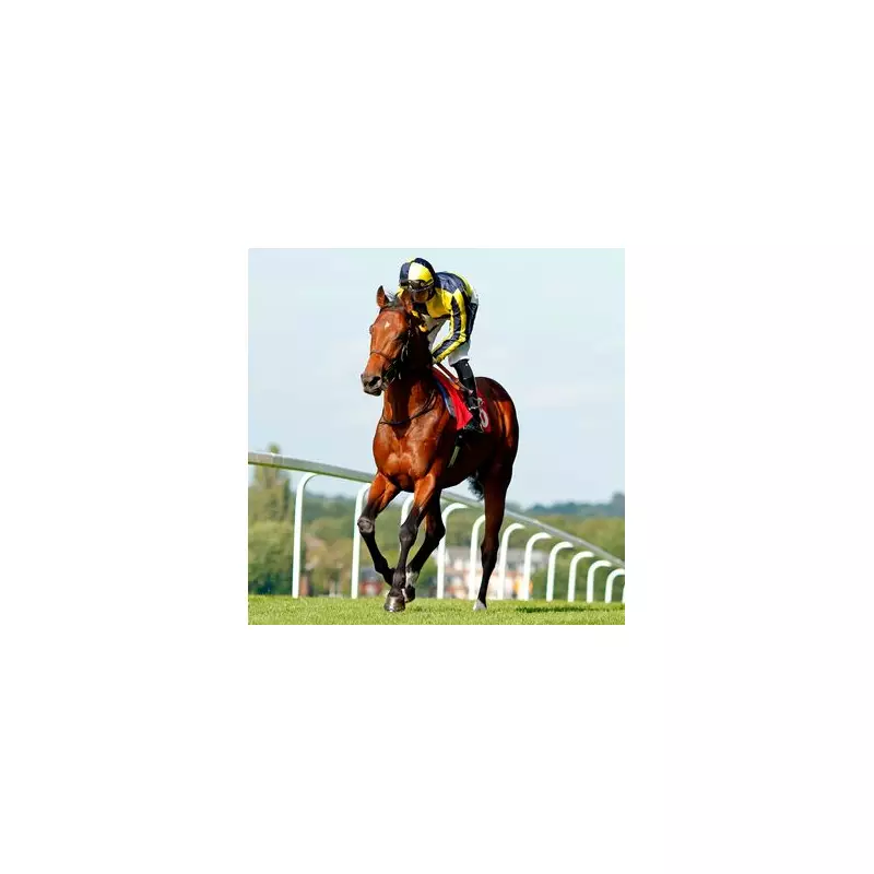 Tuesday's Turf Treasures: The Newsboy's Top Horse Racing Tips for Kempton, Lingfield and Wolverhampton