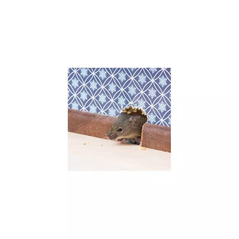 UK Braces for 'Bumper' Rodent Season: Experts Warn of Record Rat Infestations