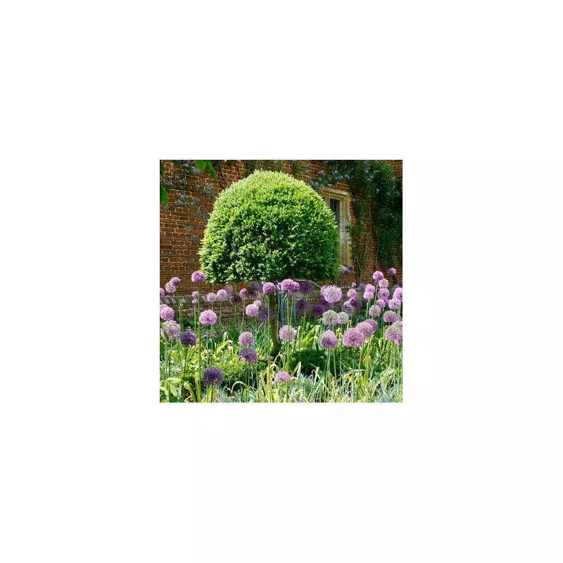 UK Gardeners Alert: This Tiny Insect Could Decimate Your Plants - Here's How To Stop It