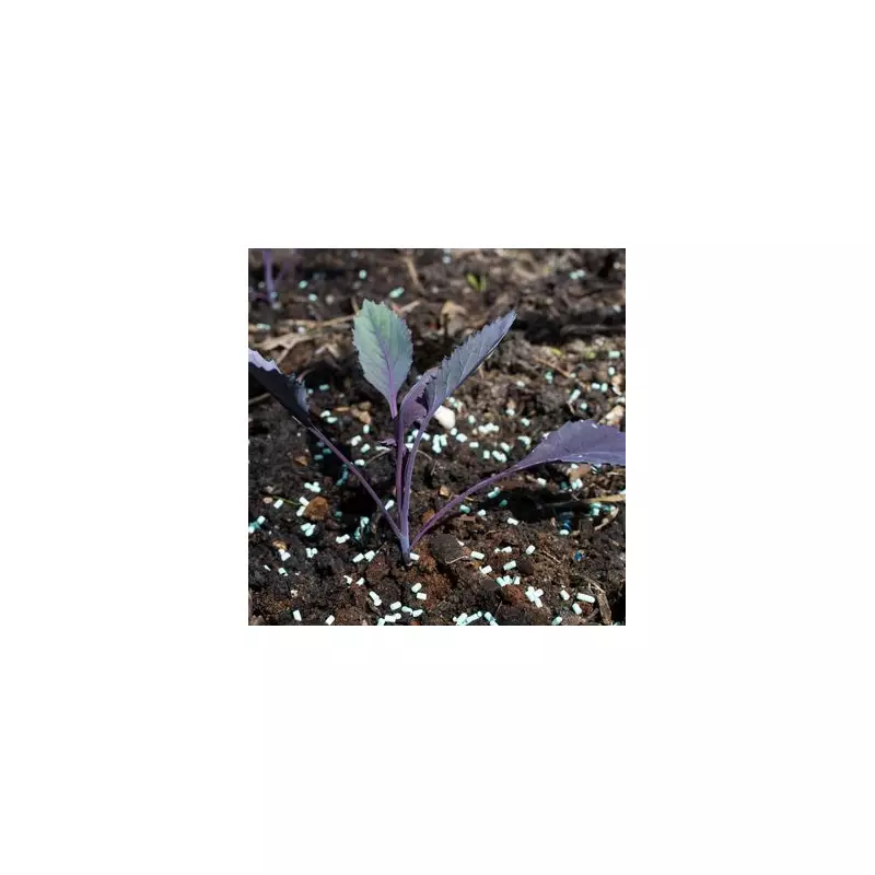 UK Gardeners Urged to Check Sheds and Greenhouses Immediately for Dangerous Pests | Expert Warning