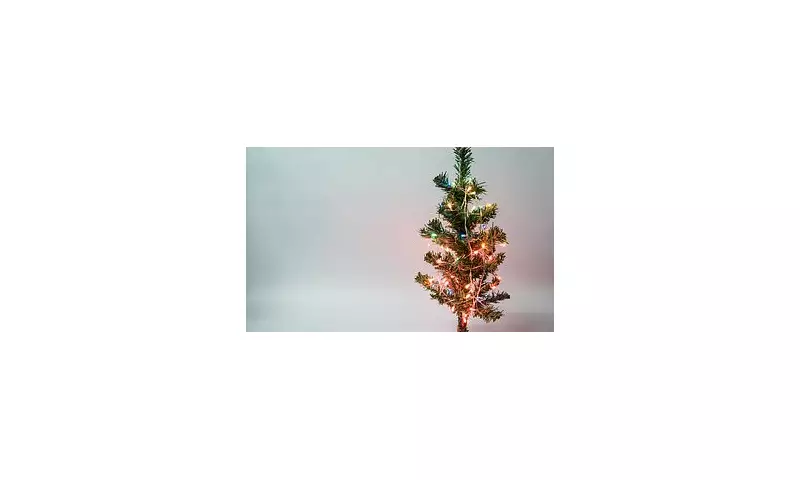 University of Westminster Worker Sues Over 'Racial Harassment' After Boss Bans Christmas Tree in November