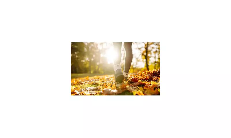 Unlock Your Fitness Potential: The Japanese Interval Walking Method That's Sweeping the UK