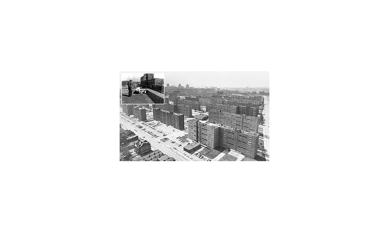 US Army Accused of Spraying Cancer-Causing 'Forever Chemicals' Over American Neighbourhoods in Secret Cold War Tests