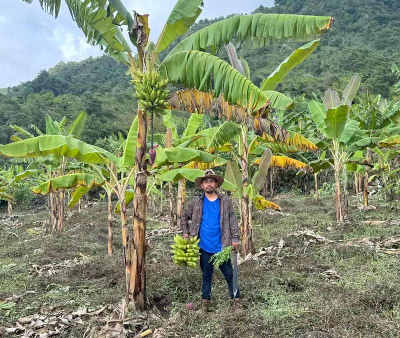 US Deports Mexican Farm Worker After 16 Years: A Family Torn Apart by Immigration Policy