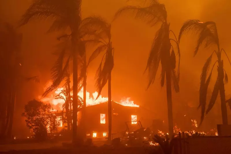 US Government Sues Southern California Edison Over Devastating Wildfires | Legal Action