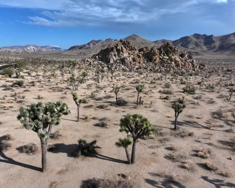 US National Parks Face Closure Crisis as Government Shutdown Looms
