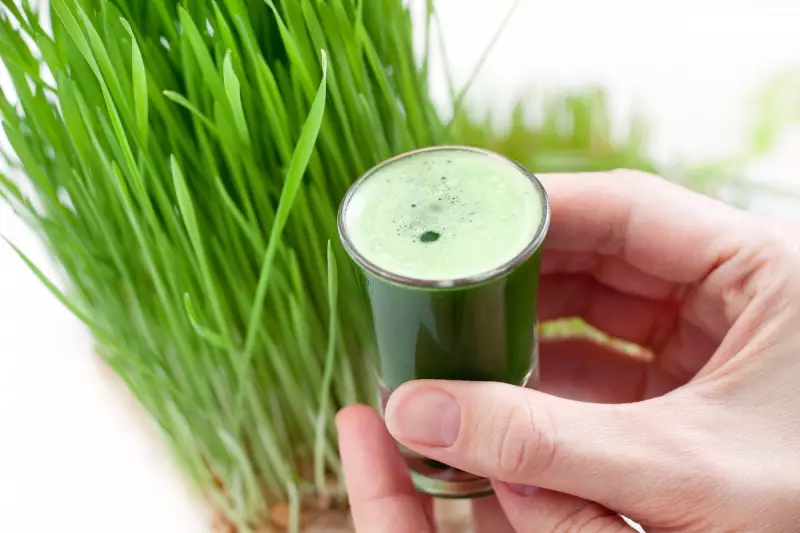 Wheatgrass Wonder: The Surprising Health Benefits of This Green Superfood