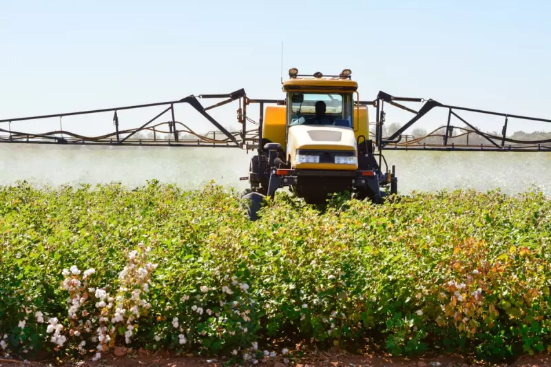 White House Report Exposes Alarming Crisis in UK Children's Health | The Guardian