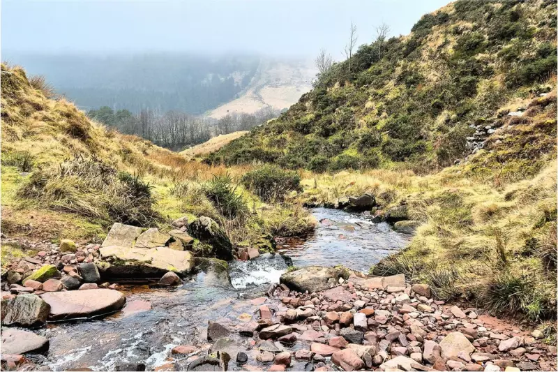 Wild Running in South Wales: Your Ultimate Guide to the Brecon Beacons' Most Epic Trails