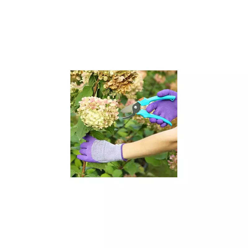 Winter Hydrangea Care: The Expert Pruning Tip for Stronger Blooms & Vibrant Growth