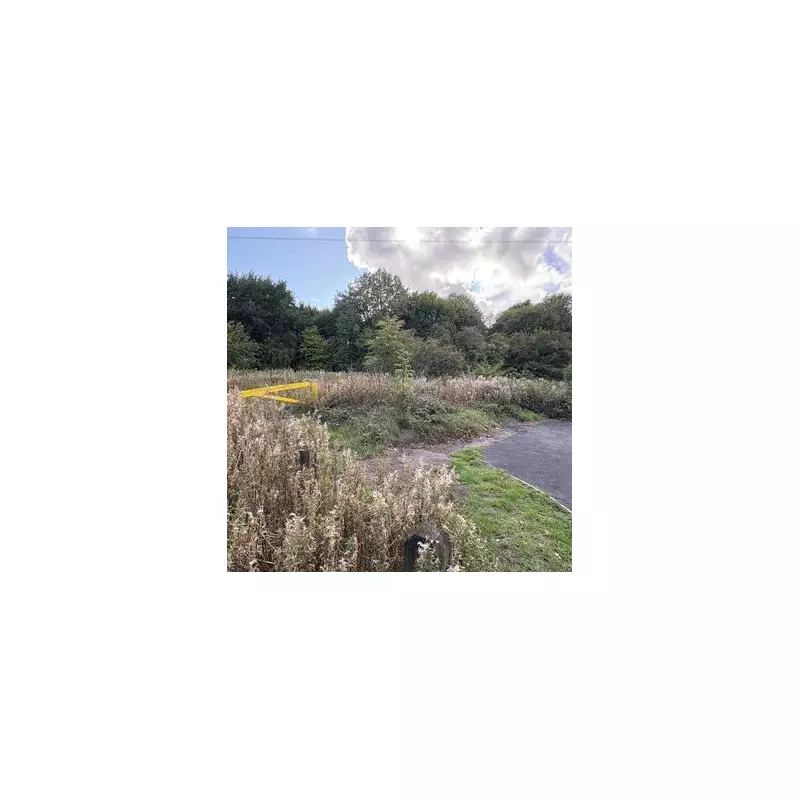 Woman Subjected to Brutal Racist Attack and Rape in North London Park