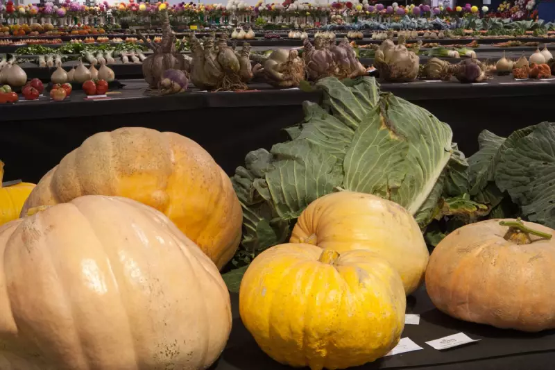 Worcestershire Man's Guinness World Record Shattered After 60 Years | The Independent