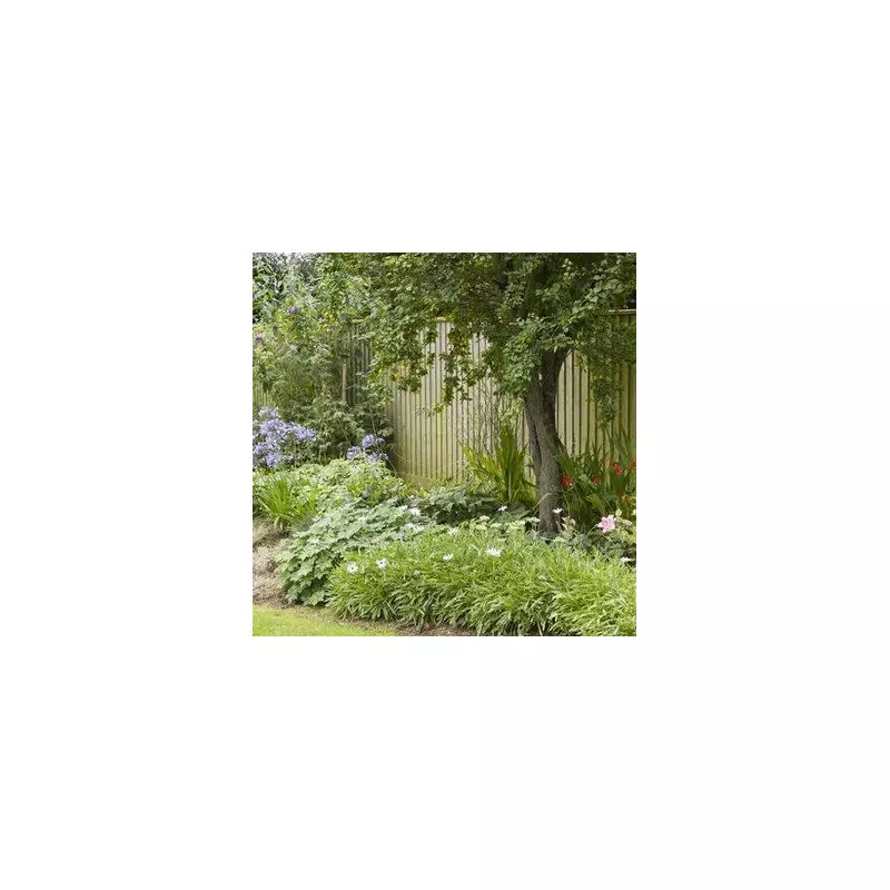 Your Neighbour's Tree Hanging Over? A Lawyer Reveals Your Pruning Rights