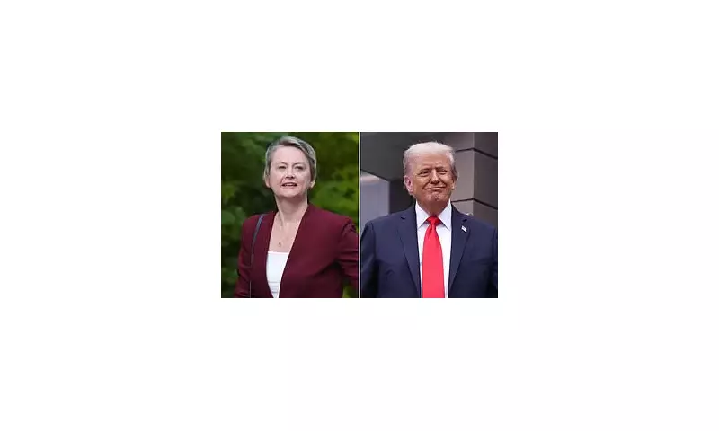 Yvette Cooper's Fiery Critique of Donald Trump: New Foreign Secretary's Blistering Assessment