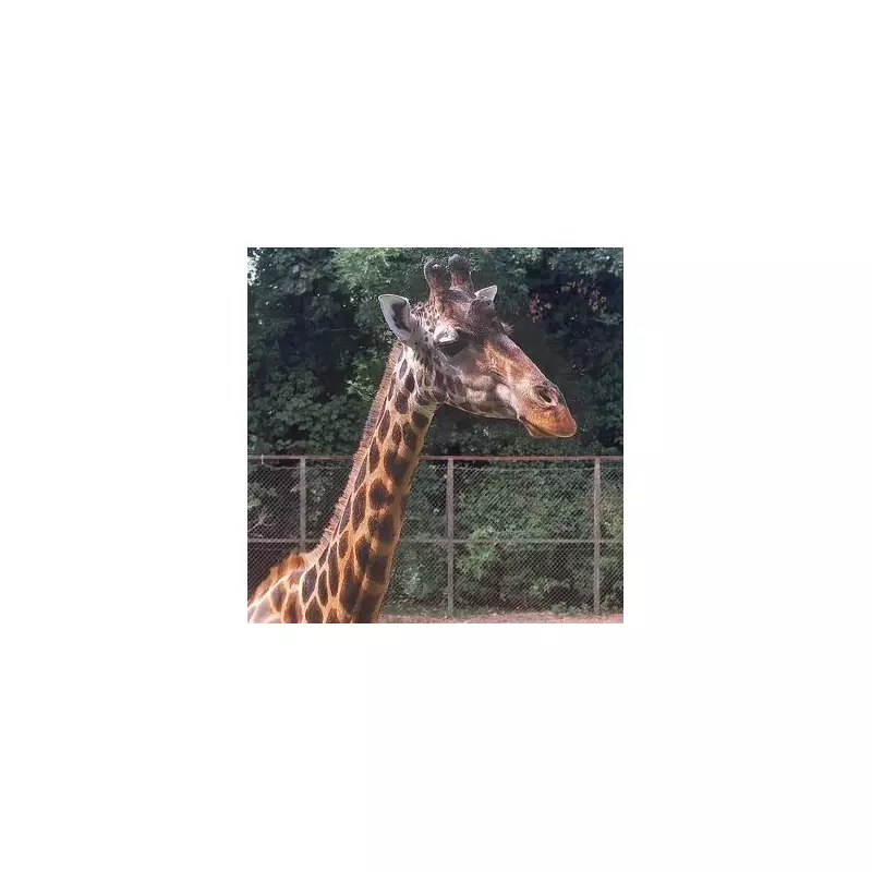 Zoo Animal Poo Holds Key to Fighting Future Pandemics, Groundbreaking UK Study Reveals