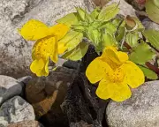 A River Transformed: 50 Years of Witnessing Climate Change on the River Wye