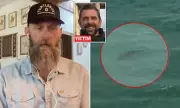 'A True Miracle': Veteran Surfer's Harrowing Tale of Survival After Vicious Shark Attack in New Zealand