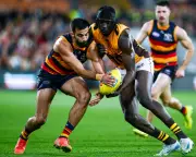 Adelaide Crows Soar Into AFL Preliminary Final After Epic Semi-Final Victory Over Hawthorn