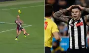 AFL Finals Controversy: Umpire's Non-Call Sparks Outrage in Brisbane Thriller