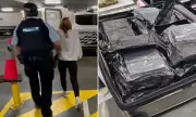 American Tourist Arrested at Sydney Airport with Alleged Cocaine in Luggage | Daily Mail