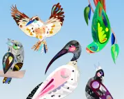 Australian Bird of the Year 2025: Vote Now for Your Feathered Favourite | Guardian & BirdLife Poll
