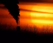 Australia's 2035 Climate Crucible: Inside Labor's High-Stakes Emissions Target Decision