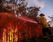 Australia's Climate Everest: Can Political Will Overcome Looming Catastrophe?
