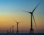 Australia's Offshore Wind Exodus: Why Global Investors Are Pulling the Plug on Renewable Energy Dreams